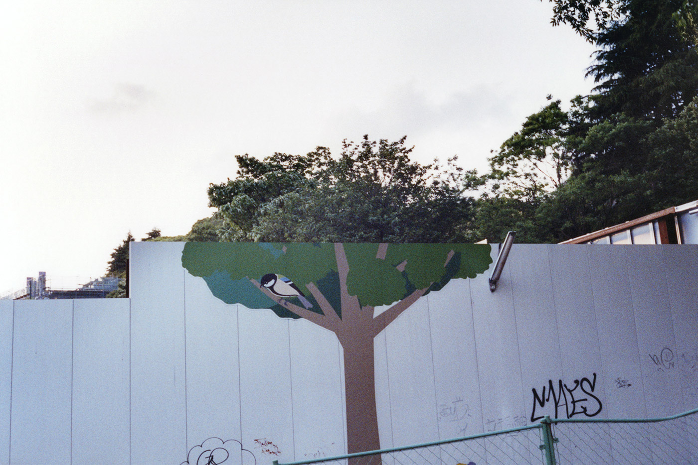 カメラマン 北浦 敦子（ちっぺ）